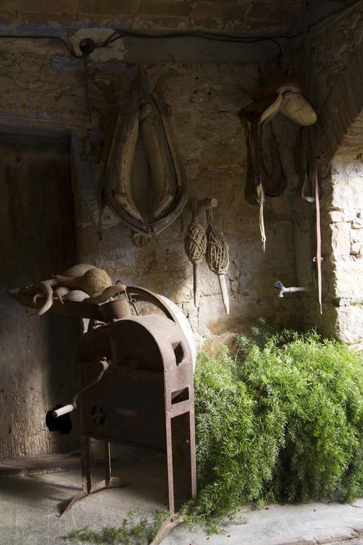 Can Barnosell - Els Masos D'En Coll Llaviá Buitenkant foto